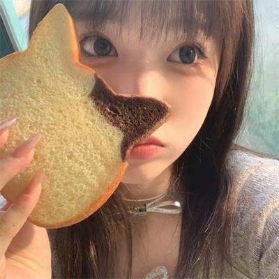 藏獒多吉
